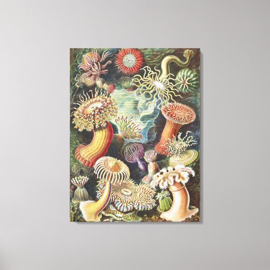 Toile Sea Anemone Scientific Nature Ocean (Recto)