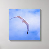 Toile Sea gull in flight (Recto)