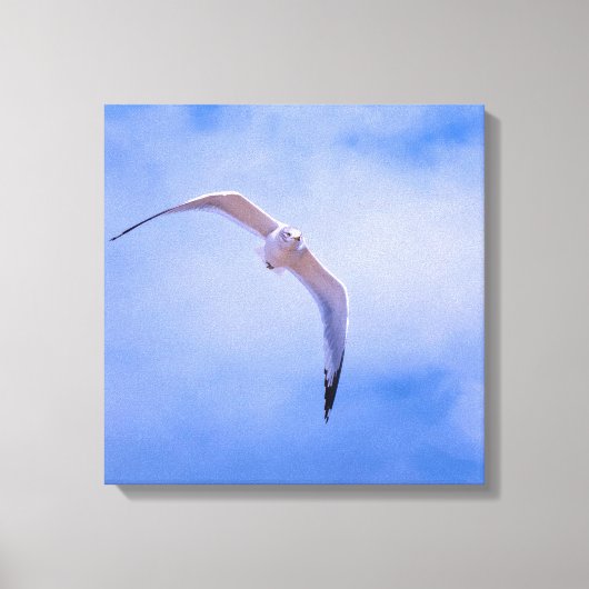 Toile Sea gull in flight (Recto)