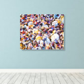 Toile Sea Shells (Insitu (Plancher de Bois))