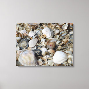 Toile Sea Shells Beach Scène Macro Photo Wall Art