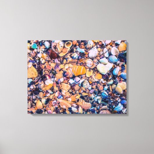 Toile Sea Shells et Pebbles (Recto)