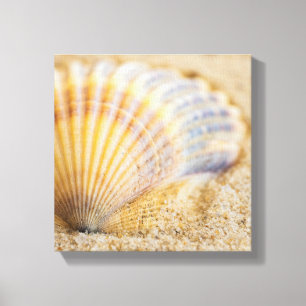 Toile Seashell