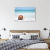 Toile Seashell | Saint-Pétersbourg, Floride (Insitu(Chambre))