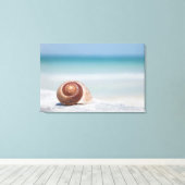 Toile Seashell | Saint-Pétersbourg, Floride (Insitu (Plancher de Bois))