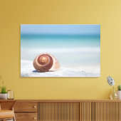 Toile Seashell | Saint-Pétersbourg, Floride (Insitu(Salon))