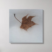 Toile Seasonal Transitions Stretched Canvas Print (Recto)