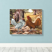 Toile Sebright Hen et coq dans un cadre en bois (Insitu (Plancher de Bois))