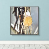 Toile Séché Concombre Sauvage Graine de vigne en hiver (Insitu (Plancher de Bois))