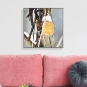 Toile Séché Concombre Sauvage Graine de vigne en hiver (Insitu(Salon))