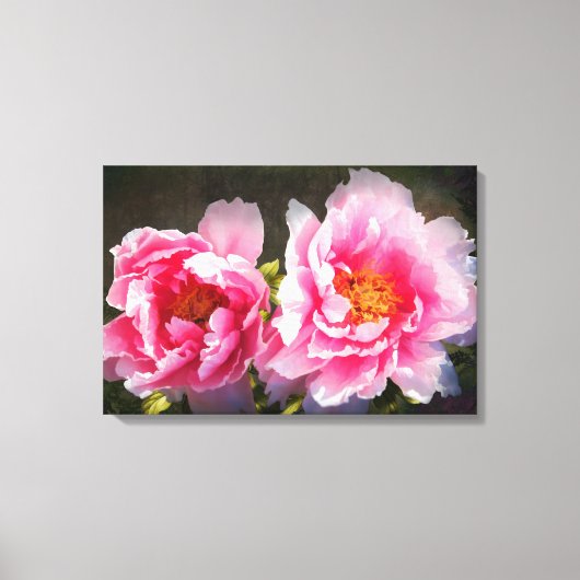 Toile Secrétés, Pies Roses (Recto)