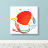 Toile Section De L'Oeil Humain (Insitu (Plancher de Bois))