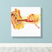 Toile Section De L'Oreille Humaine (Insitu (Plancher de Bois))