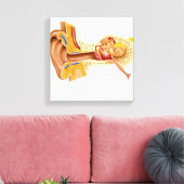 Toile Section De L'Oreille Humaine (Insitu(Salon))