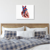 Toile Section Du Coeur Humain (Insitu(Chambre))