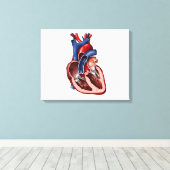 Toile Section Du Coeur Humain (Insitu (Plancher de Bois))
