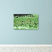 Toile Section transversale de la feuille (Insitu (Plancher de Bois))