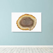 Toile Section transversale d'une tige de fougère pétrifi (Insitu (Plancher de Bois))