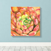 Toile Sedeveria 'Pink Ruby' par Debra Lee Baldwin (Insitu (Plancher de Bois))