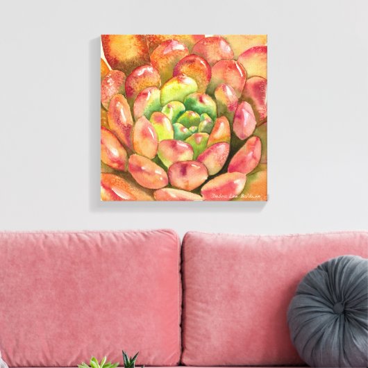 Toile Sedeveria 'Pink Ruby' par Debra Lee Baldwin (Insitu(Salon))