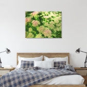 Toile Sedum Automne Joy (Insitu(Chambre))