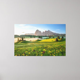 Toile Seiser Alm, Alpes Dolomites, Italie