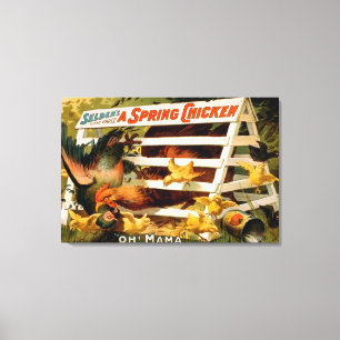 Toile Selden's Funny Farce, A Spring Chicken Play