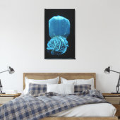 Toile Séléniite forme de Gypsum, un pho minéral fluoresc (Insitu(Chambre))