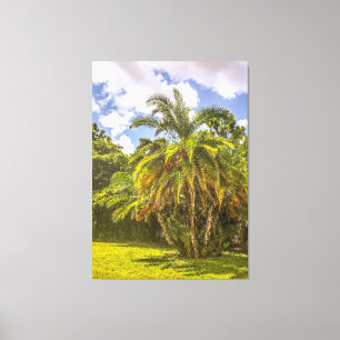 Toile Sénégal Date Palm Stretted Canvas Print