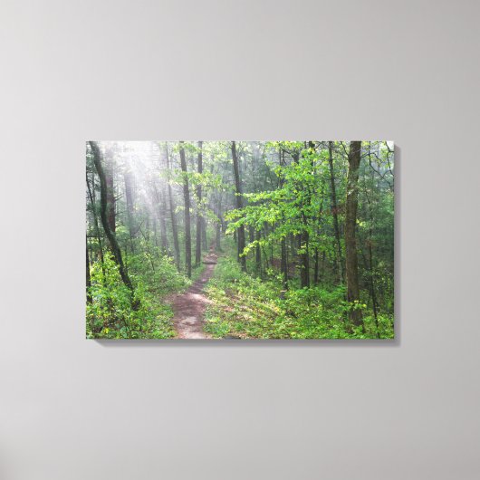 Toile Sentier brumeux de la forêt à Castle Mound (Recto)