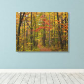 Toile Sentier de Laurel Hill en automne (Insitu (Plancher de Bois))