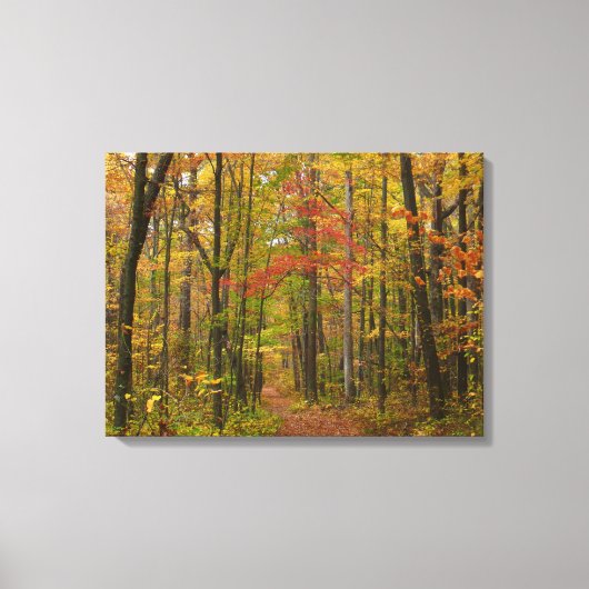 Toile Sentier de Laurel Hill en automne (Recto)