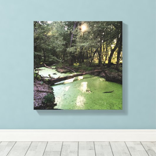 Toile sentier de pointe (Insitu (Plancher de Bois))