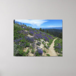Toile Sentier de randonnée de montagne de l'Idaho