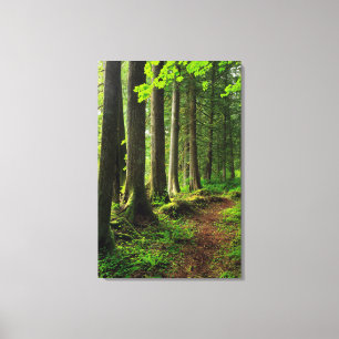 Toile Sentier Scénique de la Forêt Verte