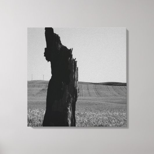 Toile Sentinal (Recto)