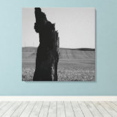 Toile Sentinal (Insitu (Plancher de Bois))