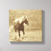Toile Sepia Pinto Pony (Recto)