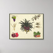 Toile Sept espèces (Recto)