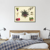 Toile Sept espèces (Insitu(Chambre))