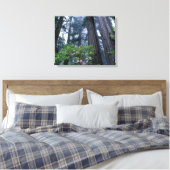 Toile Séquoias côtiers et rhododendrons (Insitu(Chambre))