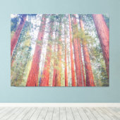 Toile Séquoies antiques (Insitu (Plancher de Bois))