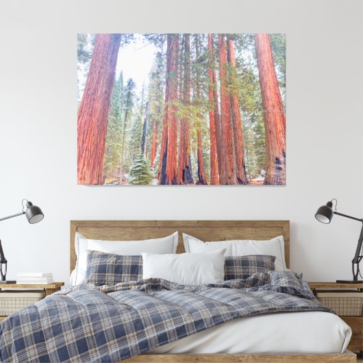 Toile Séquoies géantes (Insitu(Chambre))