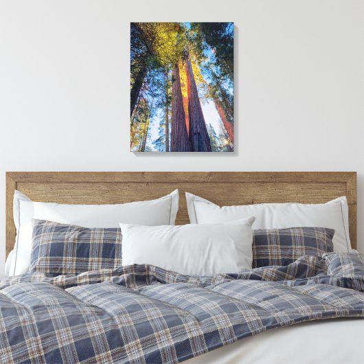 Toile Séquoies géantes (Insitu(Chambre))