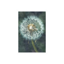 Serene Dandelion Canvas Art - Un inspecteur de la 