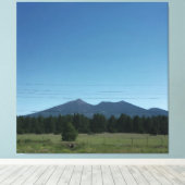 Toile Serenity (Insitu (Plancher de Bois))