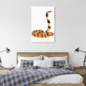 Toile Serpent corail africain (Aspidelaps lubricus) (Insitu(Chambre))