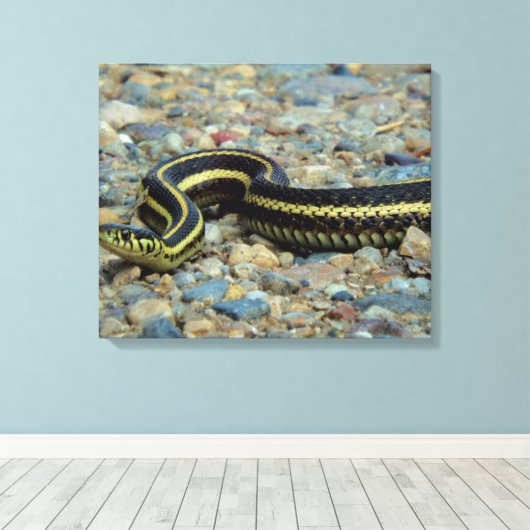 Toile Serpent Gardener (Insitu (Plancher de Bois))