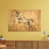 Toile Serval (Leptailurus Serval) en train de sauter (Insitu(Salon))