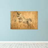 Toile Serval (Leptailurus Serval) en train de sauter (Insitu (Plancher de Bois))